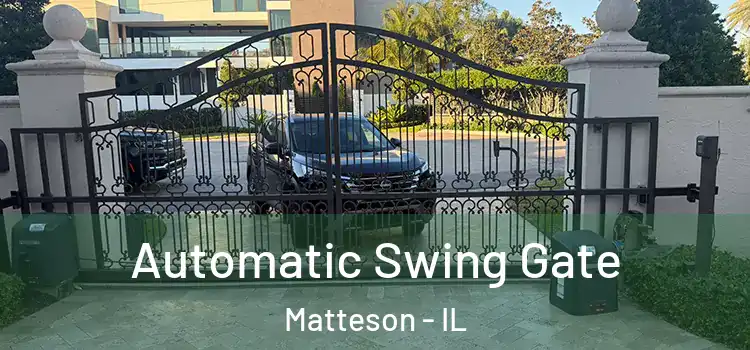  Automatic Swing Gate Matteson - IL