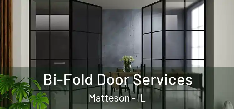  Bi-Fold Door Services Matteson - IL