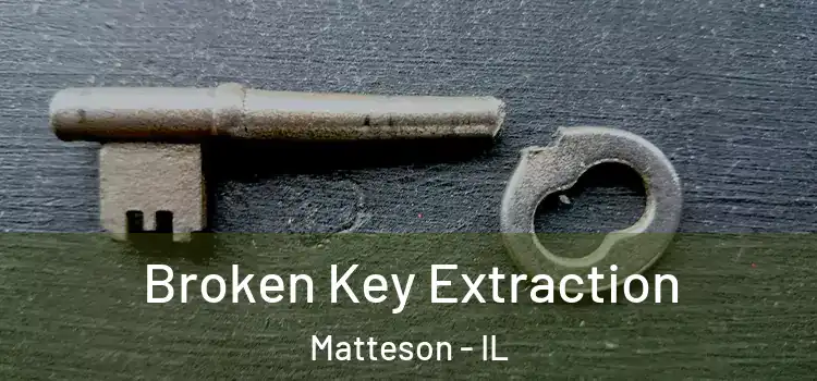 Broken Key Extraction Matteson - IL