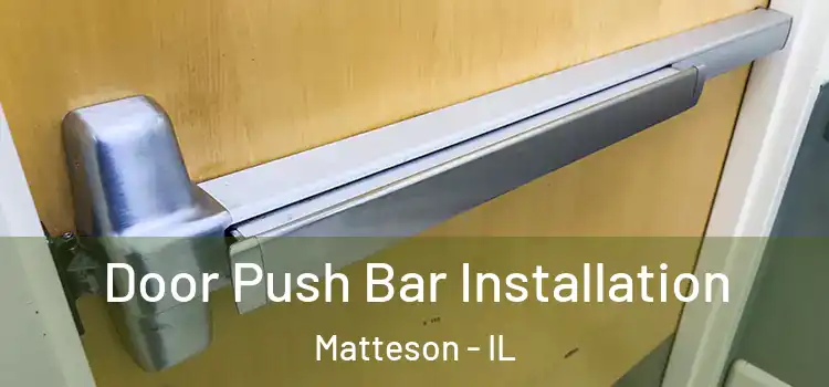  Door Push Bar Installation Matteson - IL
