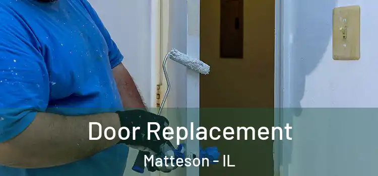  Door Replacement Matteson - IL