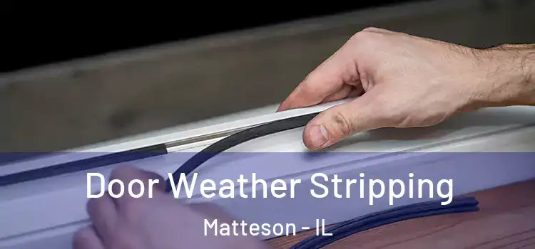  Door Weather Stripping Matteson - IL