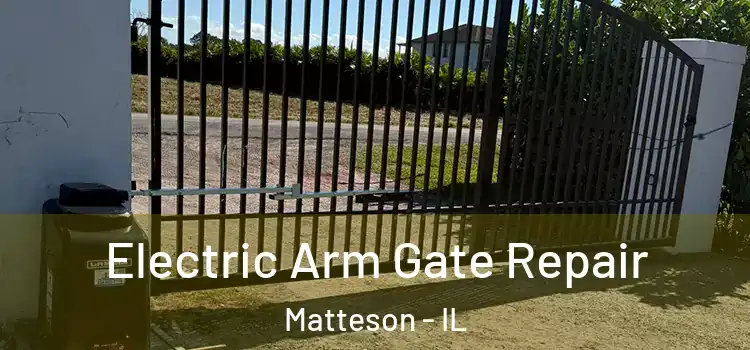 Electric Arm Gate Repair Matteson - IL
