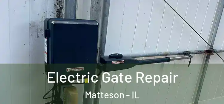  Electric Gate Repair Matteson - IL