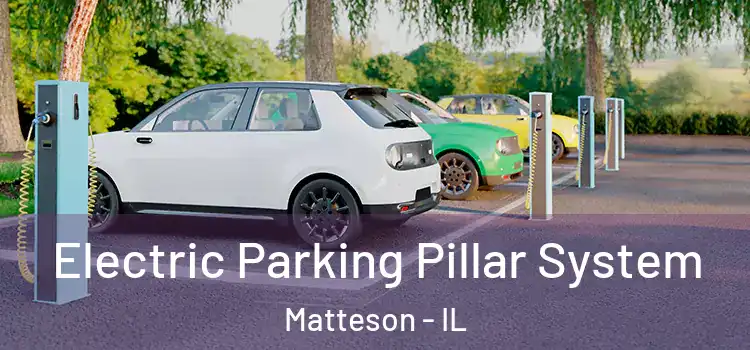 Electric Parking Pillar System Matteson - IL
