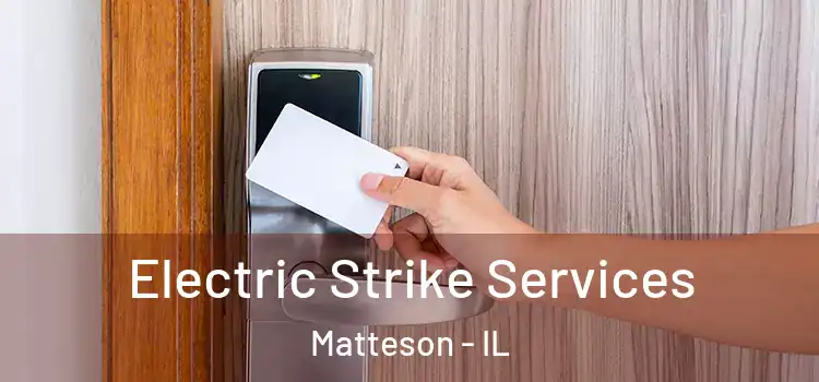  Electric Strike Services Matteson - IL