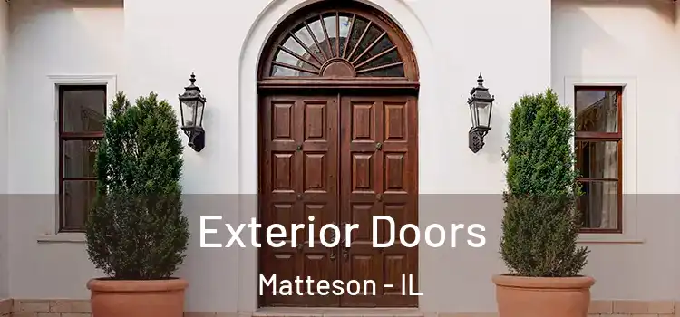 Exterior Doors Matteson - IL
