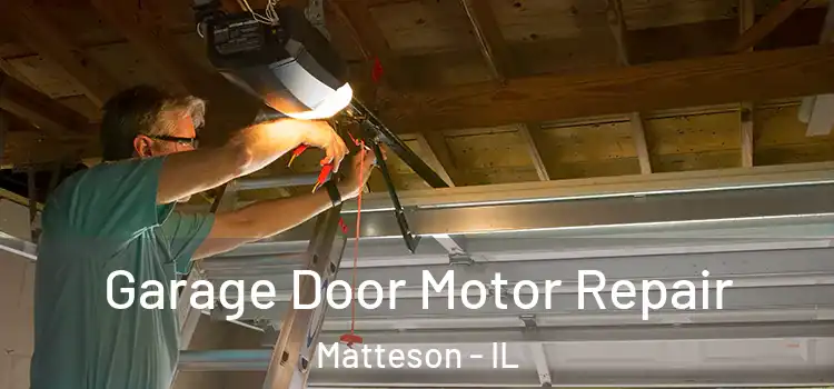  Garage Door Motor Repair Matteson - IL