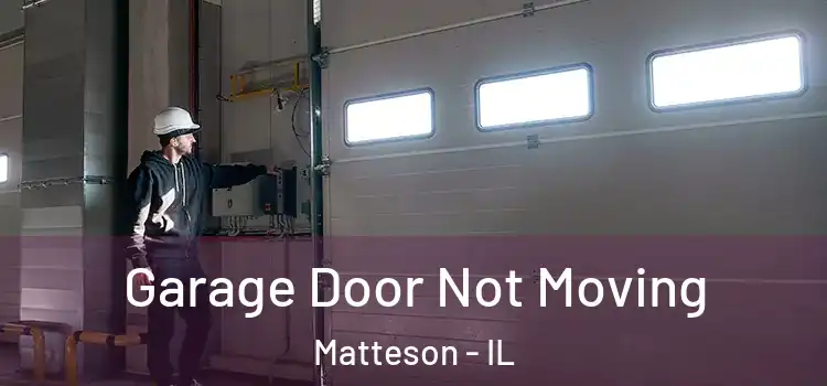  Garage Door Not Moving Matteson - IL