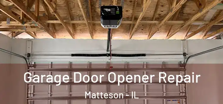  Garage Door Opener Repair Matteson - IL