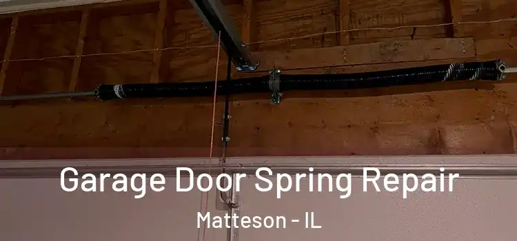  Garage Door Spring Repair Matteson - IL