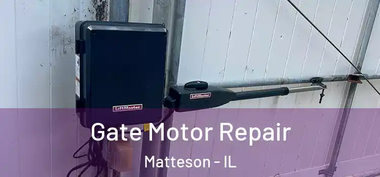  Gate Motor Repair Matteson - IL