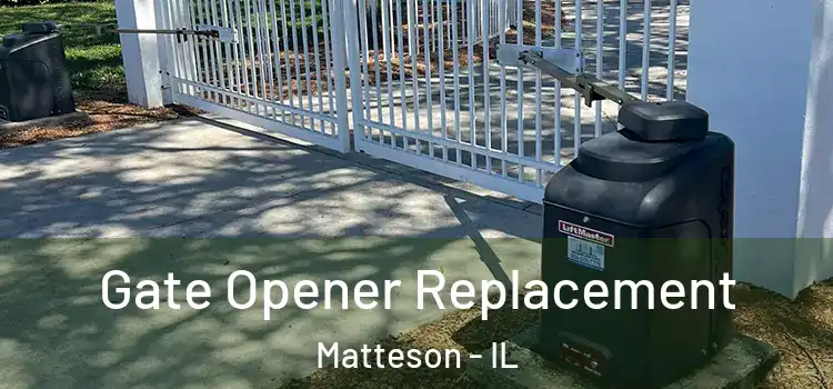  Gate Opener Replacement Matteson - IL