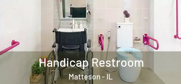  Handicap Restroom Matteson - IL