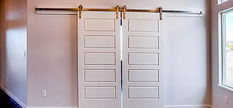Glass Barn Door with Installation Hardware Kit Matteson