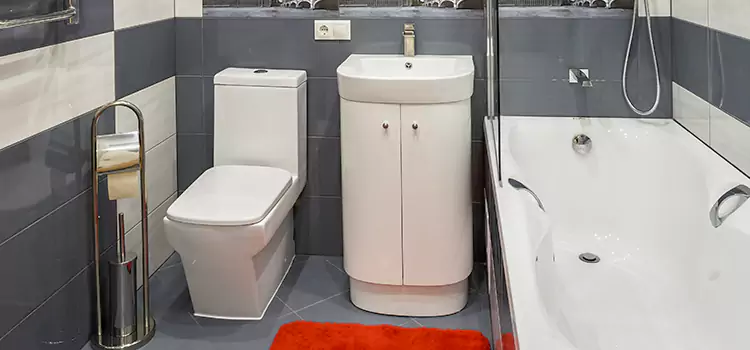 Hansgrohe Shaving Mirror Matteson