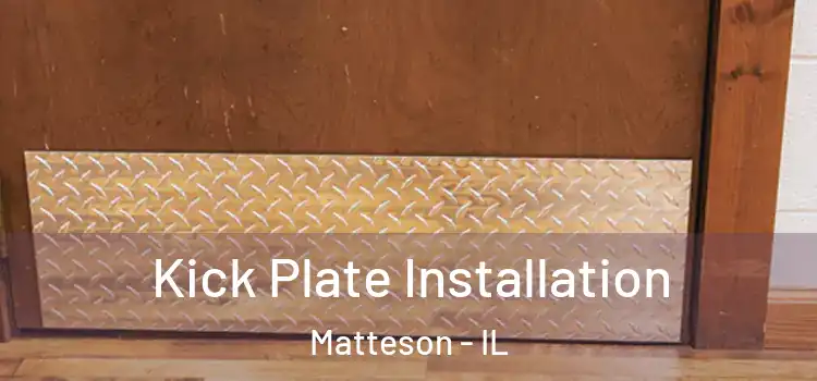  Kick Plate Installation Matteson - IL