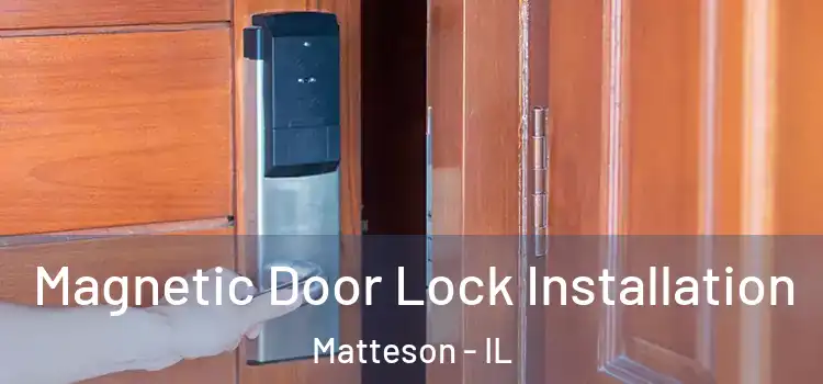  Magnetic Door Lock Installation Matteson - IL