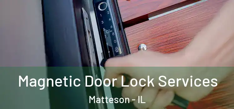  Magnetic Door Lock Services Matteson - IL