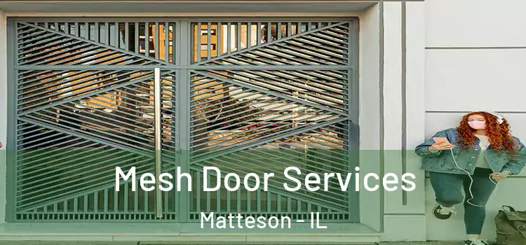  Mesh Door Services Matteson - IL