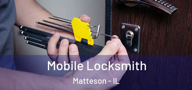  Mobile Locksmith Matteson - IL