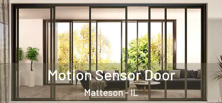  Motion Sensor Door Matteson - IL