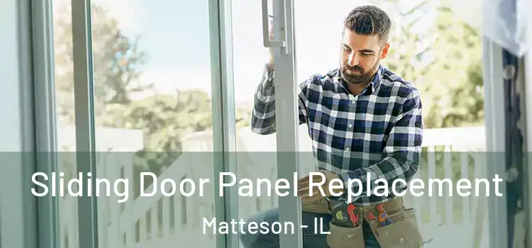  Sliding Door Panel Replacement Matteson - IL