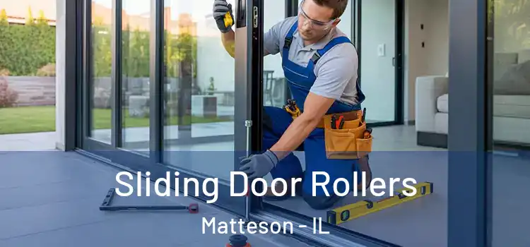  Sliding Door Rollers Matteson - IL