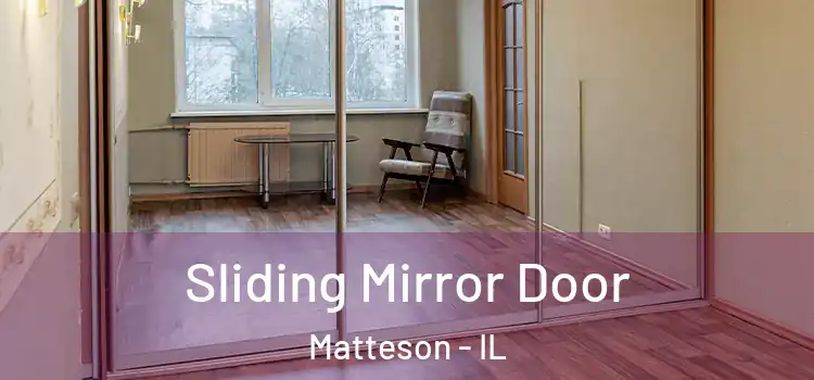 Sliding Mirror Door Matteson - IL