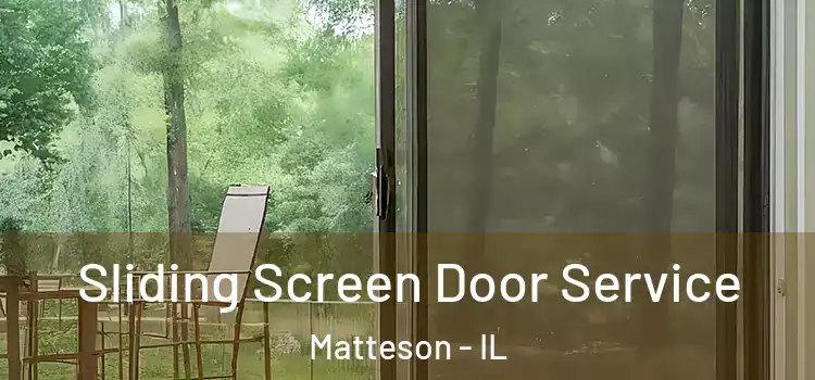 Sliding Screen Door Service Matteson - IL