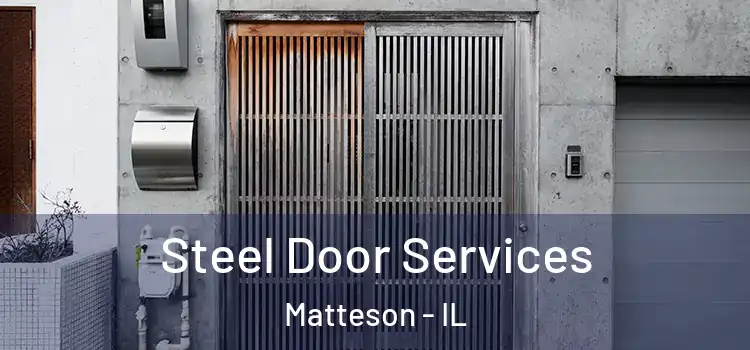  Steel Door Services Matteson - IL